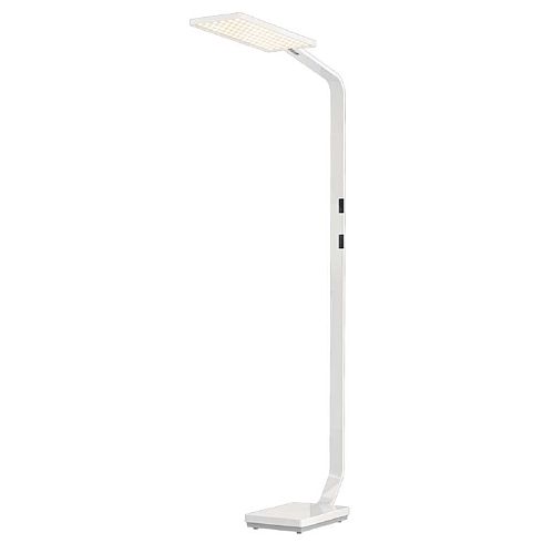 Force One POWER natural polished LED floor luminaire 3000K