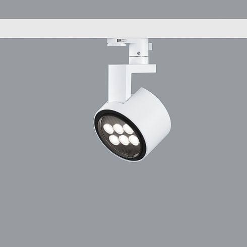 71613.000 PARSCAN LED lens wallwasher for ERCO DALI system
