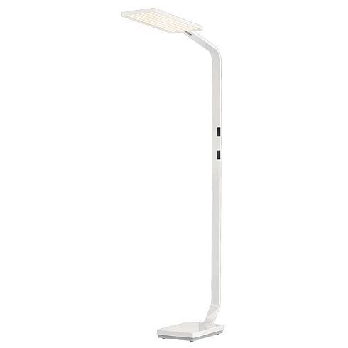 Force One POWER natural polished LED floor luminaire 4000K