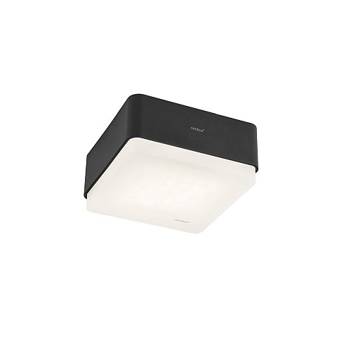 Cubic 36 Frame 2700K Ceiling luminaire, black