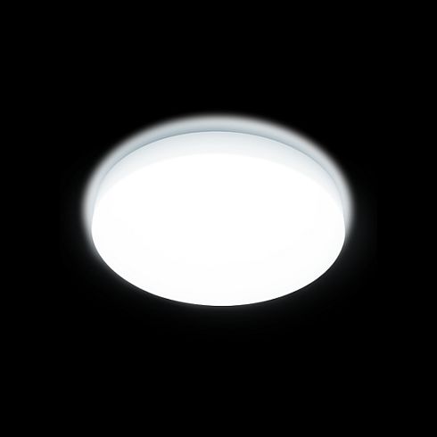 MOON 310 LED wall and ceiling luminaire
