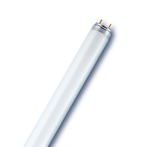 Fluorescent Lamp T 26 / 18 W / 830 / base G13